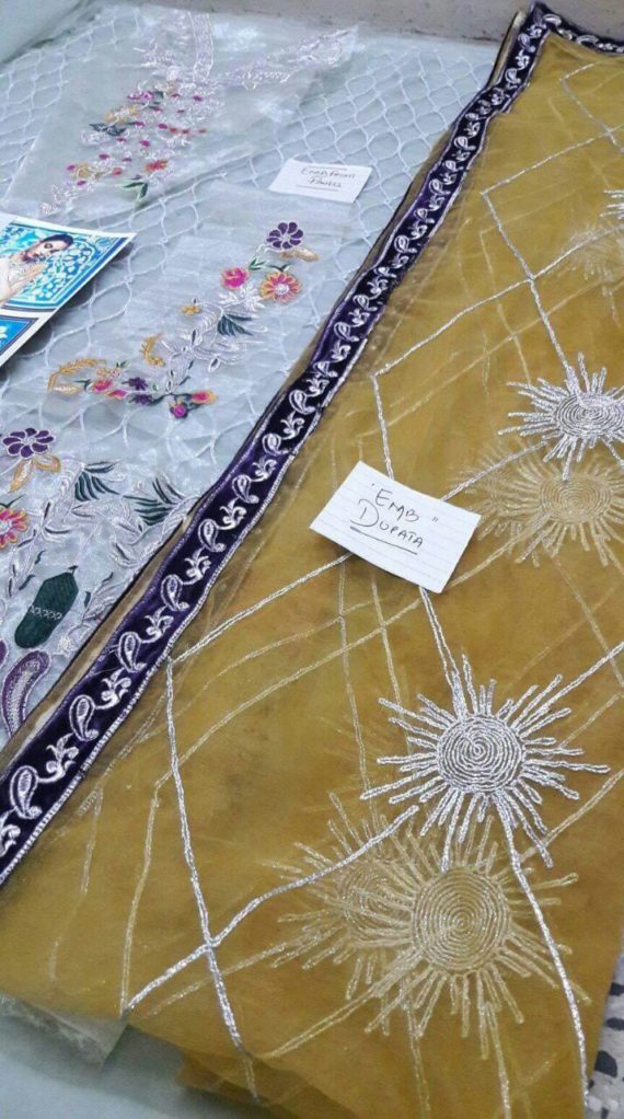 ELAN Palais Indochine Luxury Embroidered Fancy Net Suit (2)