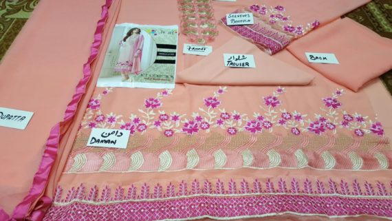 Indian Chiffon Embroidered Suit Pink Feat Drashti Dhami (4)