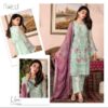 Florid Fancy Embroidered Chiffon Suit Green